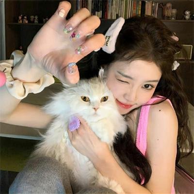 明月几时有粤语